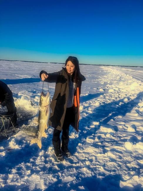 Experience the Thrill of UK Ice Fishing at Home with Live Casino Gaming