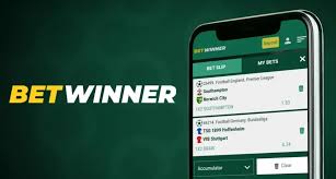 Exploring the BetWinner Platform A Comprehensive Review