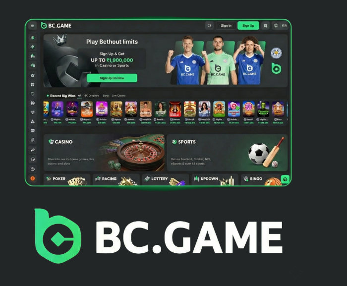 The Ultimate Guide to the BC.Game Mobile App